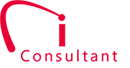 The Prism Consultant